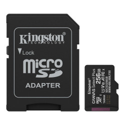 256G SDMIC KINGS CANVAS SEL+A1