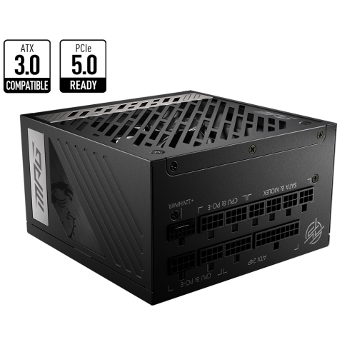 PSU MSI MPG A1000G PCIE5